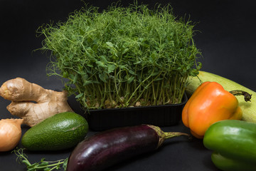 Fresh vegetables and micro greens sprouts on black background. Concept of superfood and healthy organic food