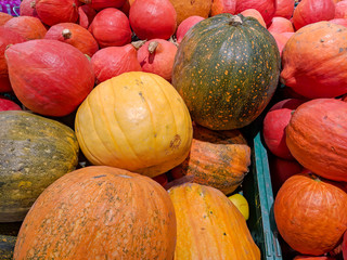 Fruit with many colors, melon and yellow and orange pumpkin stacked on a shop stand in a supermarket as a healthy lifestyle meal choice