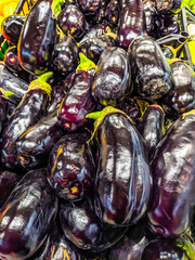 Delicious, healthy and fresh purple eggplant vegetable stacked in a pile on a shop stand in a supermarket to be sold for cooking a healthy meal