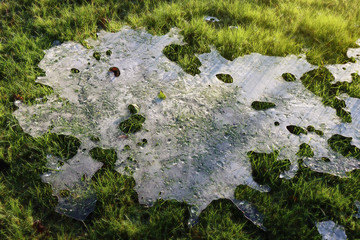 Frozen water on grass II
