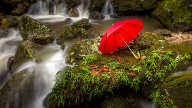 Looping cinemagraph of a red umbrella sitting next to a scenic waterfall in the rainforest while it's raining in El Yunque National Forest in Puerto Rico