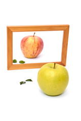 apple looking in mirror