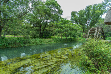 Sai river (犀川) near the Daio Wasabi Farm in Azumino, Nagano Prefecture, Japan