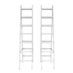 Step ladder. 3d render isolated on white