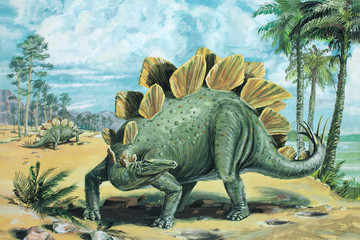 STEGOSAURUS. A vegetarian, armour-plated dinosaur  about 20ft (6m) long. The thick, spiked tail was used for defence. Late Jurassic, about 140 million years ago. © Lewisroland