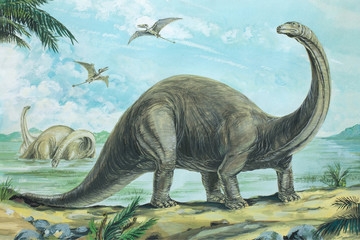 BRONTOSAURUS. One of the heaviest land animals ever known weighing over 20 tons (20tonnes). Length about 60ft (18m). Background: Rhamphorhynchus. Jurassic, about 170 - 135 million years ago. © Lewisroland