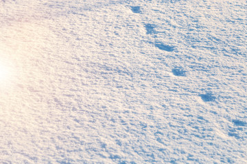 Snow Covered Field On A Sunny Day. Snow Texture Background