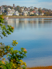calm water with houses in distance