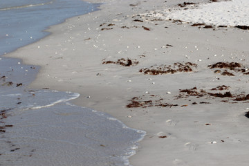Beautiful locations on Naples - Fl