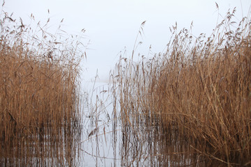 fog on the lake, autumn landscape