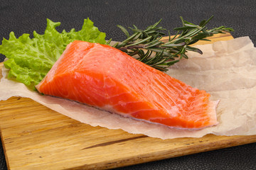 Piece of raw salmon
