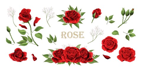 Red roses hand drawn illustration elements colored set