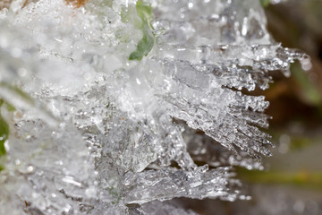 Sharp ice growths on grass and plants close-up