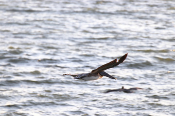 Beautiful locations on Naples - Fl