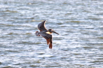 Beautiful locations on Naples - Fl