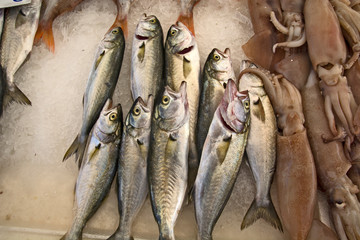 Obraz premium Sea fish in the market