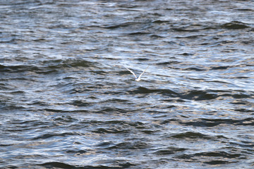 Beautiful locations on Naples - Fl