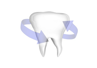  White tooth with transparent arrows on a white background 3d illustration