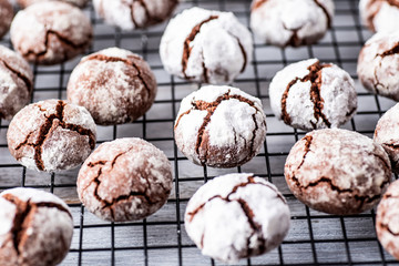 Chocolate crinkle cookies on white background