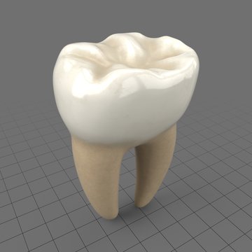 Stylized molar tooth