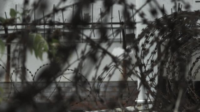 Barbed Wire Wall