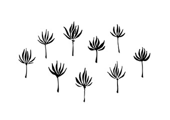 Hand drawn abstract modern flowers collection painted by ink. Grunge style brush painting vector silhouettes. Black isolated imprint on white background