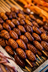 Grill and fried silkworm pupae in a food market in Beijing, China.