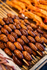 Grill and fried silkworm pupae in a food market in Beijing, China.