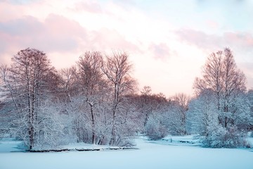 winter landscape with first snow