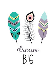 tribal illustration with feathers