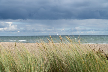 The baltic sea, the beach and marram grass - focused on the sea
