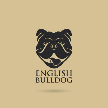 English bulldog - vector illustration