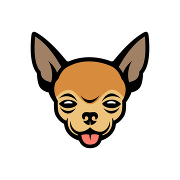 Chihuahua face - isolated vector illustration