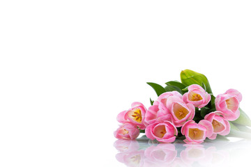 Obraz na płótnie Canvas Bouquet of beautiful pink tulips on white background.
