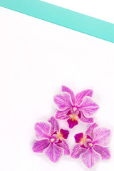 Beautiful purple orchid. Purple Orchid greeting card. Orchid flower.