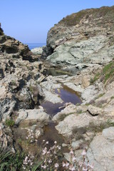 Sentier des douaniers