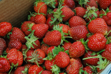 Fresh strawberries in the basket
