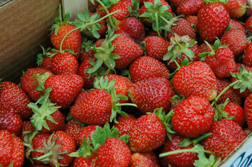 Fresh strawberries in the basket