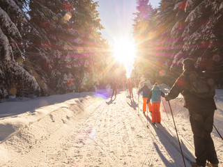 Gruppe von Langläufer im Sonnenlicht auf der Loipe im Winter