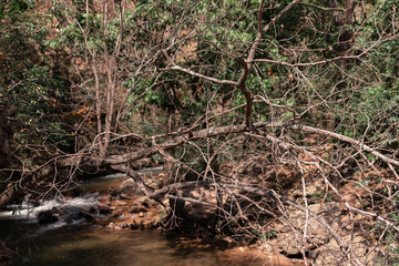 Nature Photos Plant Flowers Landscape