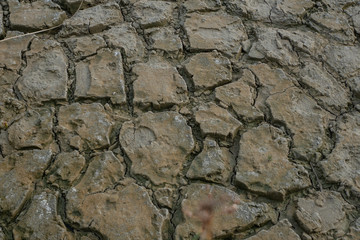 drought, grey cracked soil, lack of water, need to wet the soil, ecological concept  