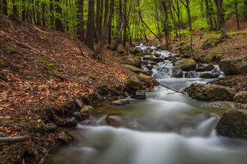Stream flowing on the slope of the mountain, Bulgaria