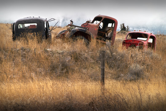 Abandoned Cars Farm Field. Old abandoned trucks in the Pacific Northwest.