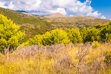 Fototapeta premium Scenic landscape view on the overgrown rocky mountains in Cilento and Vallo di Diano National Park in Campania region in Italy. Italian nature