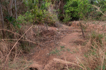 dry creek during drought in brazilian cerrado