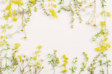 Obraz na płótnie Canvas wildflowers on white paper background
