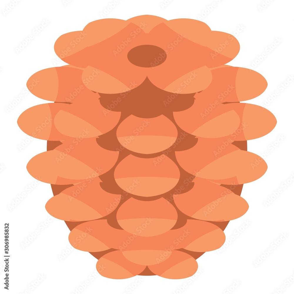Aufkleber conifer pine cone icon. isometric of conifer pine cone vector icon for web design isolated on white 
