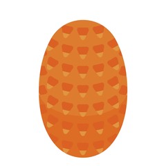 Cedar pine cone icon. Isometric of cedar pine cone vector icon for web design isolated on white background