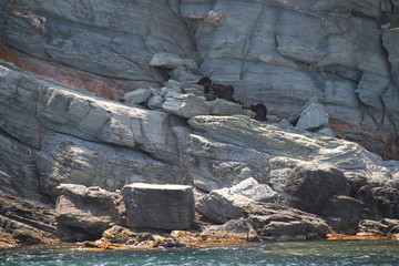 Sentier des douaniers