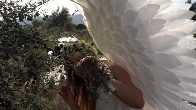 Beautiful woman in white angel outfit with wings in outdoor scenery hiding behind olive tree